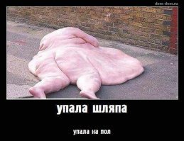 Всё дело в шляпе
