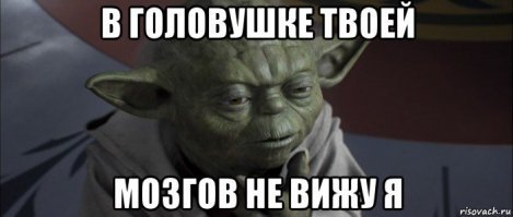 Как мы с собакой-убийцей на кролика охотились