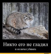 Картинки с надписями