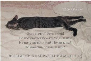 Прикольные и смешные картинки