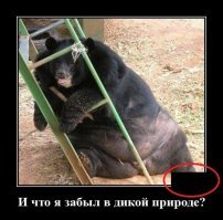А почему картинки все "ломаные"? Уже не первая подборка с такими дефектами.
