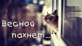 Картинки с надписями для настроения