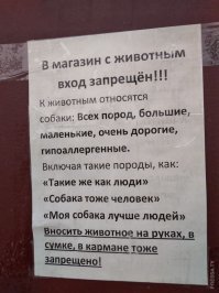20 забавных объявлений, которые могли придумать только в России