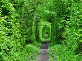 Как я рассказываю о мечтах.