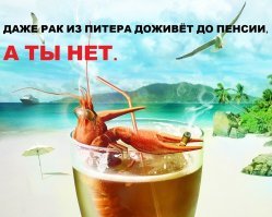 Прикольные и смешные картинки