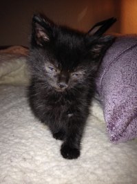 Это Васенька