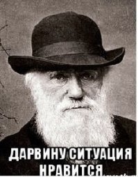 Слабоумие, отвага и подгоревшее седалище