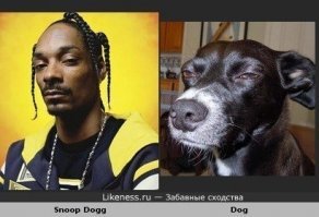 Картинки с надписями