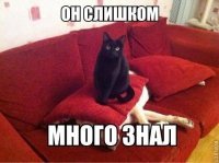 Картинки с надписями для настроения