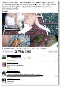 20 забавных объявлений, которые могли придумать только в России