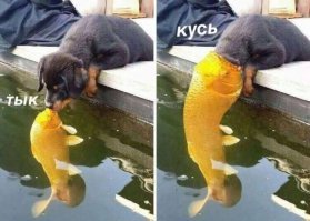 Картинки с надписями для настроения