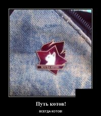 Путь котов - котэ до!