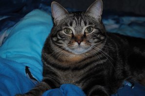 Муся и Вася (девочка):)