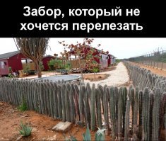 Заборы курильщика vs заборы здорового человека