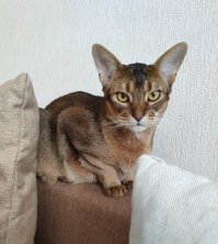 Это мой прелесть!