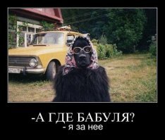 Демотивируй