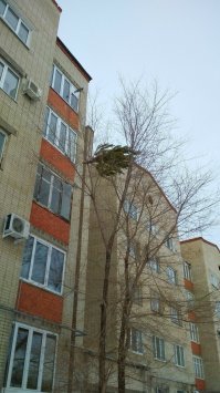 Кругом лень на фотках. Согласен. Кроме одной. Тут не лень - тут быдло.