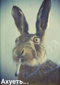 Огромные колеса на легковушке и пикап на крошечных шинах