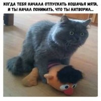20 фото немного перепивших людей, у которых утром точно возникнут вопросы