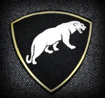 Внутренние войска. Хз, сухопутные ставить чтоль?))