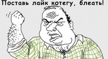 Слепой кот Мерлин - новая звезда Инстаграма