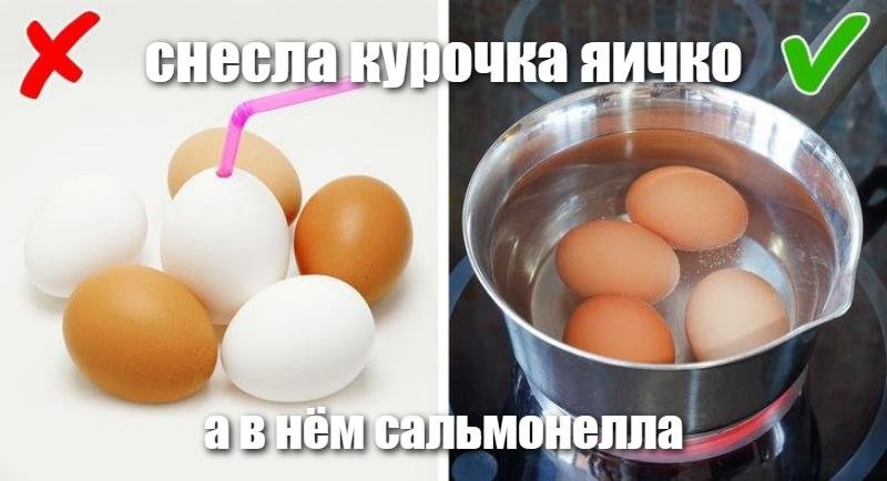 Куриный сальмонеллез