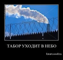 Русский мужчина сбежал из цыганского рабства и пешком добирается на родину 