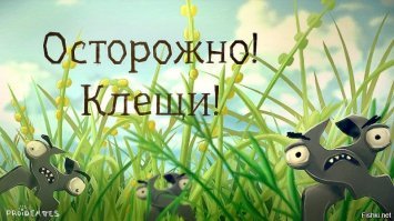 Где зимуют клещи