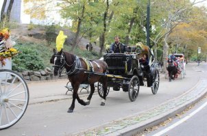Чел видимо из Нью-Йорка.