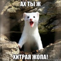 Умная блондинка