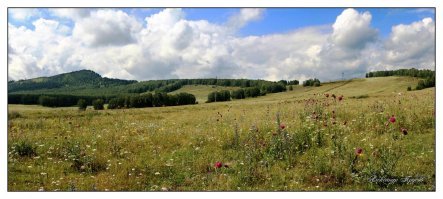 Красота сельских дорог