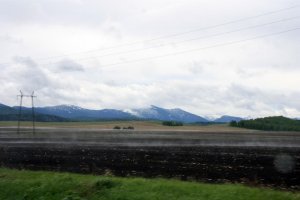 Красота сельских дорог