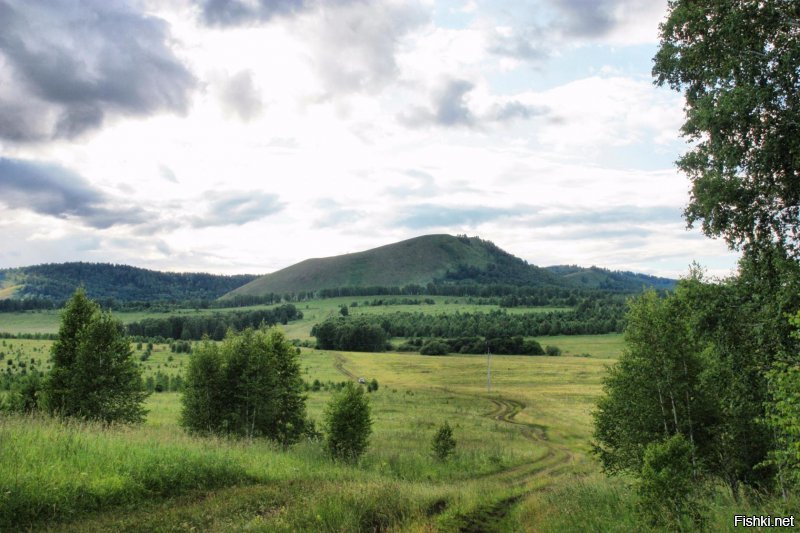 Красота сельских дорог