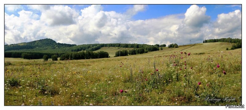 Красота сельских дорог