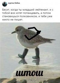 П.С. И что под пунктом 40?!