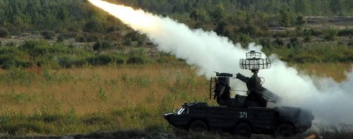 Главное, чтобы к ним оса не прилетела!