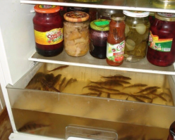 Кто-то просто решил живца сохранить до рыбалки;)