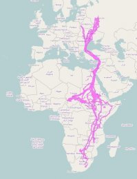 Аисты подальше летают... Приложил картинку.

Вообще, кого интересует, тут интерактивная карта с выбором животных: