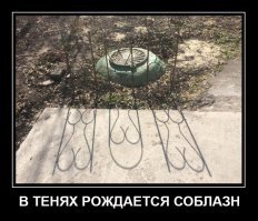 Неожиданные фотографии из серии "Что тут происходит?"