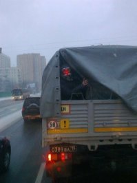 у меня одного в голове музыка из деревни дураков проиграла?))