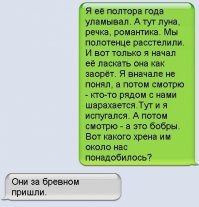 Неожиданная Хэ, которая могла произойти только в лесу