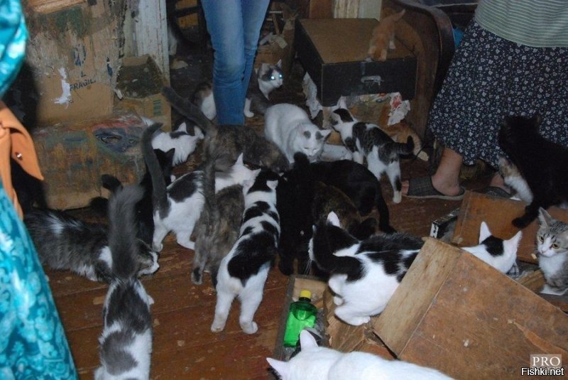 А вы не погорячились на счет названия темы?! Думаю, что далеко не все с таким утверждением согласятся...