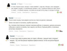 И снова наш Николай Полиграфович Шариков и его боротьба с котами. Всех собак победил, инвалид ты наш моральный?