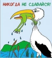 Никогда не сдавайся?