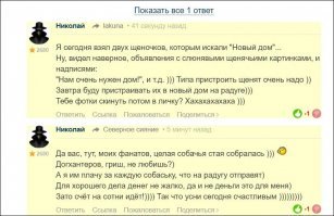 В Хакасии возбудили дело после нападения бродячих собак на девочку