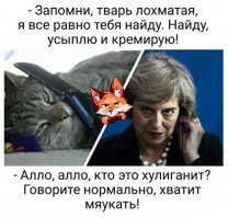 За котейку ответите, беспринципные мрази!
