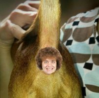 Где пруфы? Я вас спрашиваю......