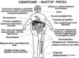 Я вот не пойму.....Когда постят эти толстые рожи, то это типа от зависти???

Ожирение   это накопление жира в организме, приводящее к появлению избыточной массы тела. При этом жир откладывается в жировых депо организма (подкожной жировой клетчатке и вокруг внутренних органов).

К концу XX века учёные  доказали, что люди, страдающие избыточным весом, вместе с лишними килограммами приобретают предрасположенность к таким серьезным заболеваниям, как сахарный диабет, гипертония, инфаркт миокарда и рак.