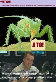 Подборка автомобильных приколов