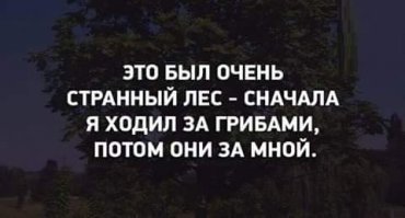 Вот как охотится хищный гриб